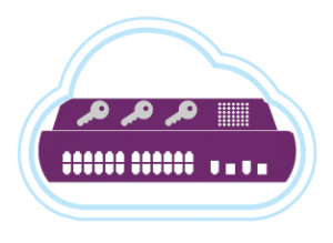 virtual-keysecure-icon